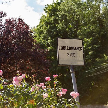 Coolcormack Stud B&B Dungarvan  Exterior photo