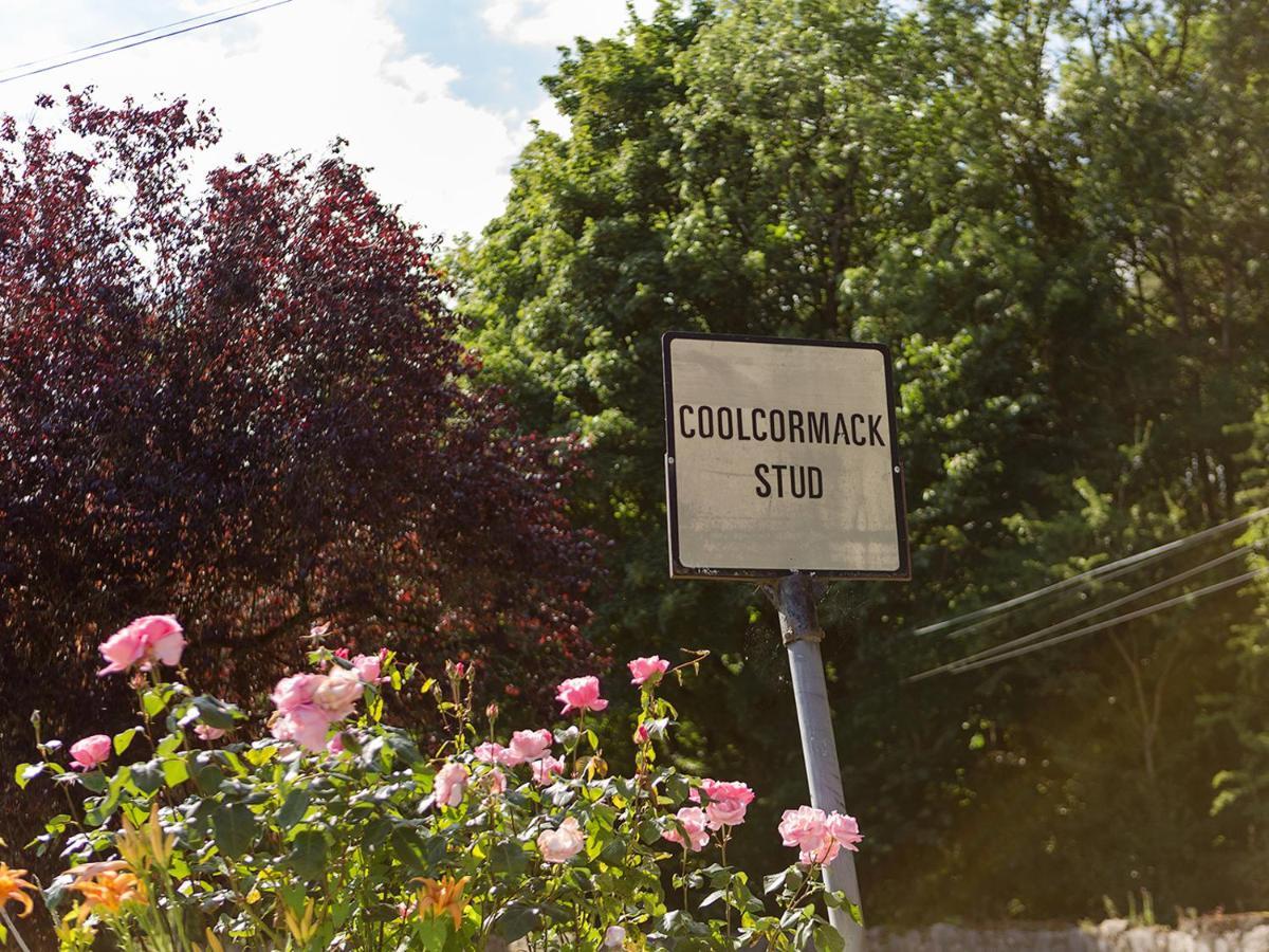Coolcormack Stud B&B Dungarvan  Exterior photo